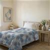 Italian Bed Linen Trapuntino Estivo Linea BASIC Made in Italy Copriletto Stampato in Morbida Microfibra - Trapunta Primavera Estate Mezza Stagione - Soffioni Blu, Singolo 160x240cm