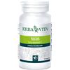 ERBA VITA GROUP SpA FUCUS 125 Tav.400mg EBV