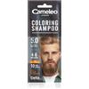 Cameleo Men - Shampoo Colorante - Marrone Chiaro - Capelli, Barba, Baffi - Rinfresca - Dura da 4 a 6 Lavaggi - Applicazione facile e veloce - Estratto di Noce - 15 ml