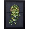 Permin Perlin, cuore con foglia, Philo, multicolore, 20 x 29 cm