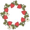 Sizzix Set di 19 timbri trasparenti Botanical Fruit di Lisa Jones