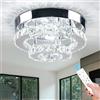 Cainjiazh Lampadari Lampade Mini Lampadario LED Cristallo Plafoniera 2 Strati Rotondo Flush Mount Plafoniera Illuminazione Moderna Lampadario per Corridoio Scale Cucina Bagno (Dimmable)
