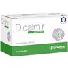 AGpharma Dicalmir Tisana 15 Bustine Filtro - Preparato per Infuso a base di Erbe Officinali, dal Sapore Gradevole. Contiene Camomilla, Finocchio, Liquirizia, Anice Verde, Melissa e Coriandolo