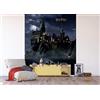AG Design Carta da parati fotografica Harry Potter Fleece, AFTD3P 5176-412, 225 x 270 cm, multicolore