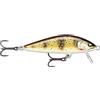 Rapala - Esca da Pesca Artificiale Spinning Countdown Elite - In Balsa - Esca per Pesca in Acqua Dolce Affondante - Profondità di Nuoto 0,9m - 5,5cm / 5g - Prodotta in Estonia - Gilded Minnow