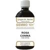 DR.GIORGINI SER-VIS Gemmo 10+ Rosa Canina Liquido Analcolico 500ml