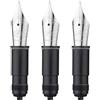 Asvine Set di 3 penne stilografiche con pennino sostitutivo per serie P36, P50, P80 e V200, argento #6 EF/F/M