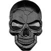 ECSiNG Decalcomania in metallo 3D Skull Punisher Veicolo Adesivo Impermeabile Decorazione Logo Cranium Emblema Badge Decal per Auto Camion Moto Frigorifero Porta Computer Titanio Nero