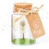 Giftota Farina Desiderata, Vera Leone in Vetro con Confezione Regalo, Fatta a Mano, Regalo per Compleanno, Matrimonio, Festa della Mamma