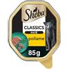Sheba Paté Classics, Cibo per Gatto con Pollame - 22 Vaschette da 85 g, Totale: 1870 g