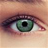 DESIGNLENSES Lenti a contatto colorate verde, 1 paio (2pz) per un aspetto naturale - senza gradazione/diottrie - lenti mensili morbide - buono per occhi scuri + caso di lenti Natural Green