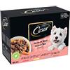 CESAR Pasto per cani - 48 bustine fresche (set di 4 confezioni 12 x 100 g) - Pasta per cani in salsa - manzo/pollo, agnello/tacchino - cibo completo ed equilibrato con ingredienti naturali