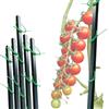 GARDENIX 1 asta per piante in plastica, 110 cm, con tubo per legare cetrioli, peperoni, pomodori o fiori e piante