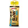 Amicafarmacia Newtritions Amix Slow Gel Gusto Limone 45g