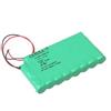 Globus Pacco Batteria 2000mA per Genesy 3000, MagnetoVet 4000 e StimVet 4000