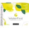 ZUCCARI Srl WATER FIRST LIMONE-MENTA-FIORI DI SAMBUCO 12 STICK PACK