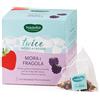 Herbal Products NEAVITA FILTROSCRIGNO INFUSO MORA FRAGOLA MINI TIN INDACO TWICE TO GO 3 PEZZI