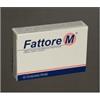 FATTORE M 20 COMPRESSE