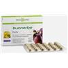 BUONERBE FORTE 30 COMPRESSE BIOSLINE