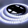 iNextStation 5M Strisce LED Cool White, 300LEDs, Striscia LED 12v, SMD5050 | IP65 Waterproof, Flexible Cuttable, Adatto per camere da letto, cucine e decorazioni esterne (No Adapter)