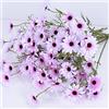 OUKEYI Fiori artificiali 12 fasci di seta artificiale margherita fiori finti resistenti ai raggi UV, composizioni per la casa, il giardino per la decorazione (lavanda)