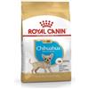 Royal Canin Chihuahua Puppy Cibo Secco Per Cani 0,5kg