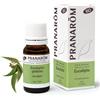 pranarom olio essenziale Eucalipto - 10 ml