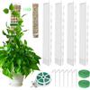TOPRUNYI Monstera - 4 p.zi di paletti da 61 cm per arrampicata in plastica - Asta di muschio in plastica per piante da interno