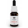 BUSH BIOTHERAPIES Pty Ltd Tall Yellow Top Australian Bush Flower Essences 15ml
