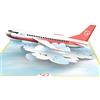 papercrush® Pop up biglietto Aereo - 3D Biglietto viaggio sorpresa, Cartolina di compleanno, Buono regalo per biglietti aereo, Regalo per viaggiatori (uomo e donna), Dono di denaro per luna di miele