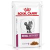 Royal Canin VetSolutions Renal Gatto 12x85gr MANZO