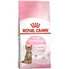Royal Canin Kitten Sterilised Cibo Secco Per Gatti 2kg Royal Canin Royal Canin
