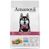 Amanova Adult Sensitive Salmon Deluxe - Crocchette, 10 kg