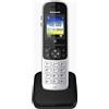 Panasonic Telefono Cordless DECT GAP 200 Voci in Rubrica Vivavoce ID Chiamante colore Silver - KX-TGH710JTS