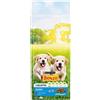 BONZO Multipack risparmio! 2 x PURINA Bonzo Crocchette per cane - 2 x 15 kg Junior Pollo e Verdure con Latte