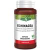 Erba Vita Echinacea 60 Capsule