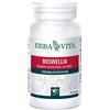 Erba Vita Group Boswellia Serrata 60 Capsule 400 Mg