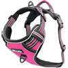 bluzelle Pettorina Cane per Cani di Taglia Piccola, Imbracatura con Maniglia & Tasca per Localizzatore GPS, Gilet per Cani Cinghie Riflettenti e Regolabile, Anti-Trazione, XS, Colore:Pink