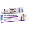 Alfavet ReConvales Power (140 g) - Mangime complementare ad alta energia per cani e gatti - pasta nutrizionale con vitamine, minerali e taurina