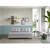 EvergreenWeb DIVANO LETTO 2 POSTI COOPER Grigio Legno