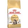 Royal Canin Maine Coon Adult Alimento Secco Per Gatti 4kg