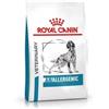 Royal Canin Veterinary Anallergenic Crocchette Per Cani Adulti Sacco 8kg