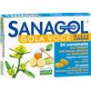 Sanagol Gola Voce Miele Limone 24 Caramelle