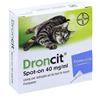 BAYER Droncit Spot-on Antiparassitario Per Gatti 4 Tubetti 20mg