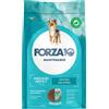 Forza10 Maintenance Medium Adult al Pesce - 12 Kg Croccantini per cani