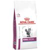 Royal Canin Renal Special Cibo Secco Per Gatti 400g Royal Canin