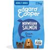 4 Healthy Pets EDGARD&COOPER DOG E ADULT DRY SALMON 2,5 KG