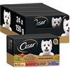 Cesar Multipack di vasche da bagno inumidito in salsa, selezione ricette contadini (pack 3 x 8 Tarrin x 150g)