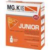 POOL PHARMA Srl Mgk Vis Tonico Ricostituente Junior 10 Flaconcini