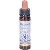 Walnut Essenza 10Ml 10 ml